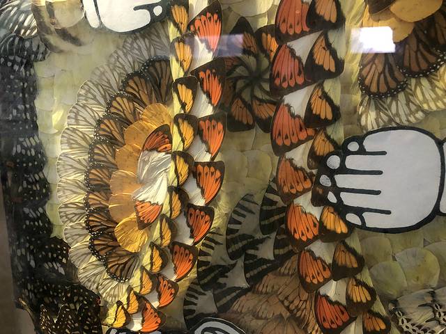 上海昆虫博物馆