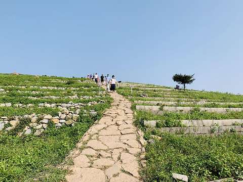 妙峰山森林公园旅游景点图片