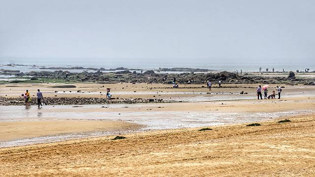 日照太公岛牡蛎公园