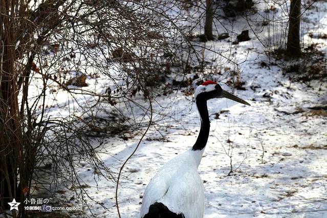 长春动植物公园