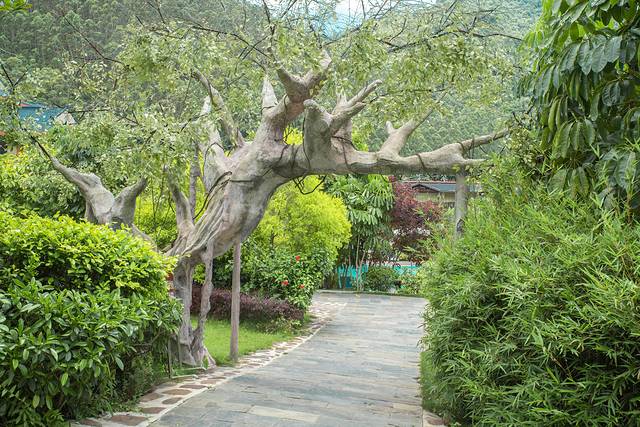 十万大山布透温泉