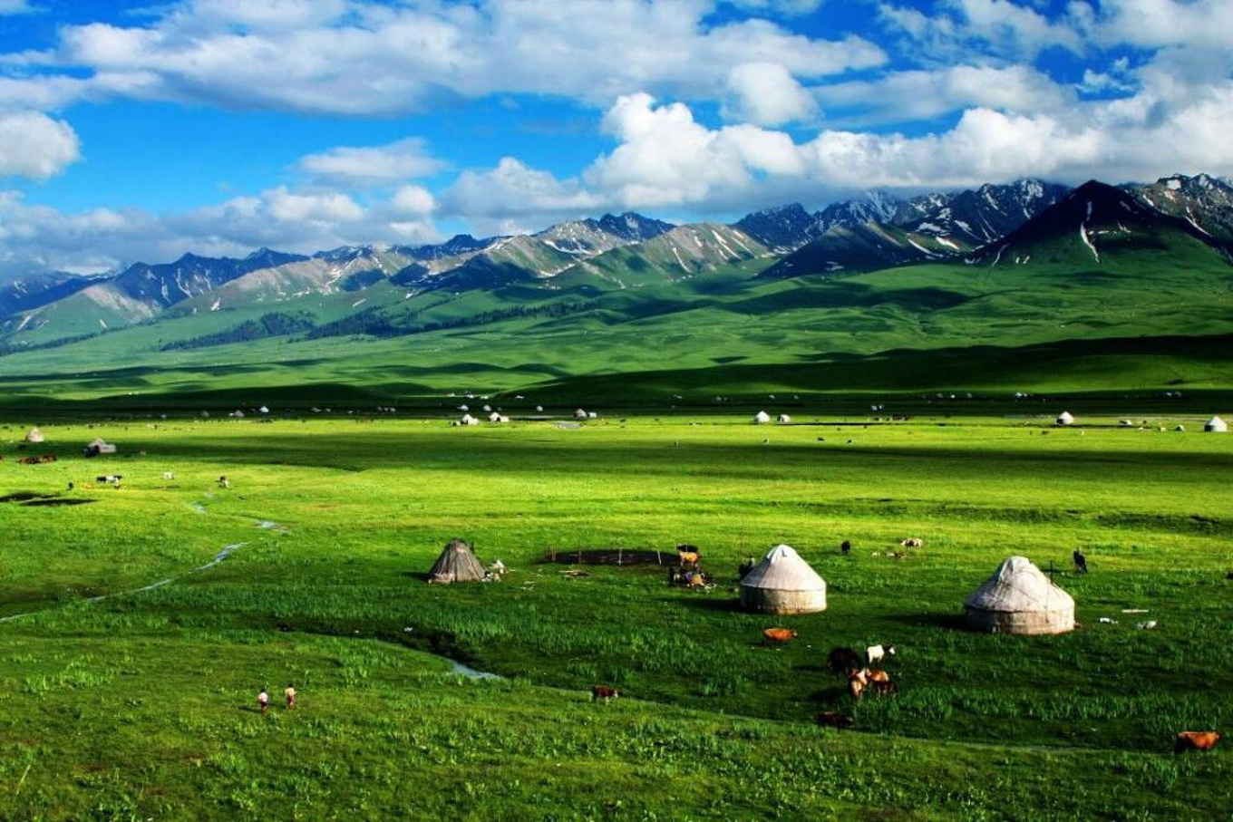 （大美中国）夏景科尔沁大草原