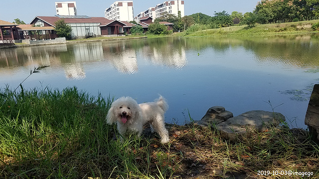 苏州太湖园博园旅游景点图片