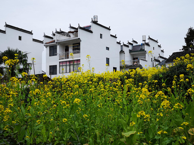 "...延村，保留了大量的明清建筑，是中国历史名村，整体看来村子没有什么特别的，跟其他的婺源村庄差不多_思溪延村"的评论图片