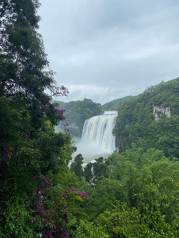 "阴雨天气的大瀑布景区真的宛如人间仙境，虽然全身都是水汽，但眼睛得到了满足_黄果树瀑布"的评论图片