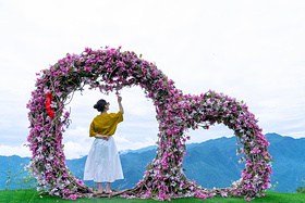 避暑季|藏在山野间21℃的夏日，给我一个清爽夏天