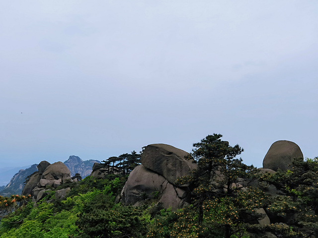 "五一假期，徒步的人不少，从南大门到索道上站一路上登山舒适度都很好。哦，攀岩也没试过，不知道手劲够不够_天柱山"的评论图片