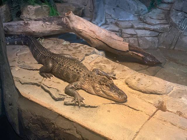 国家动物园及水族馆