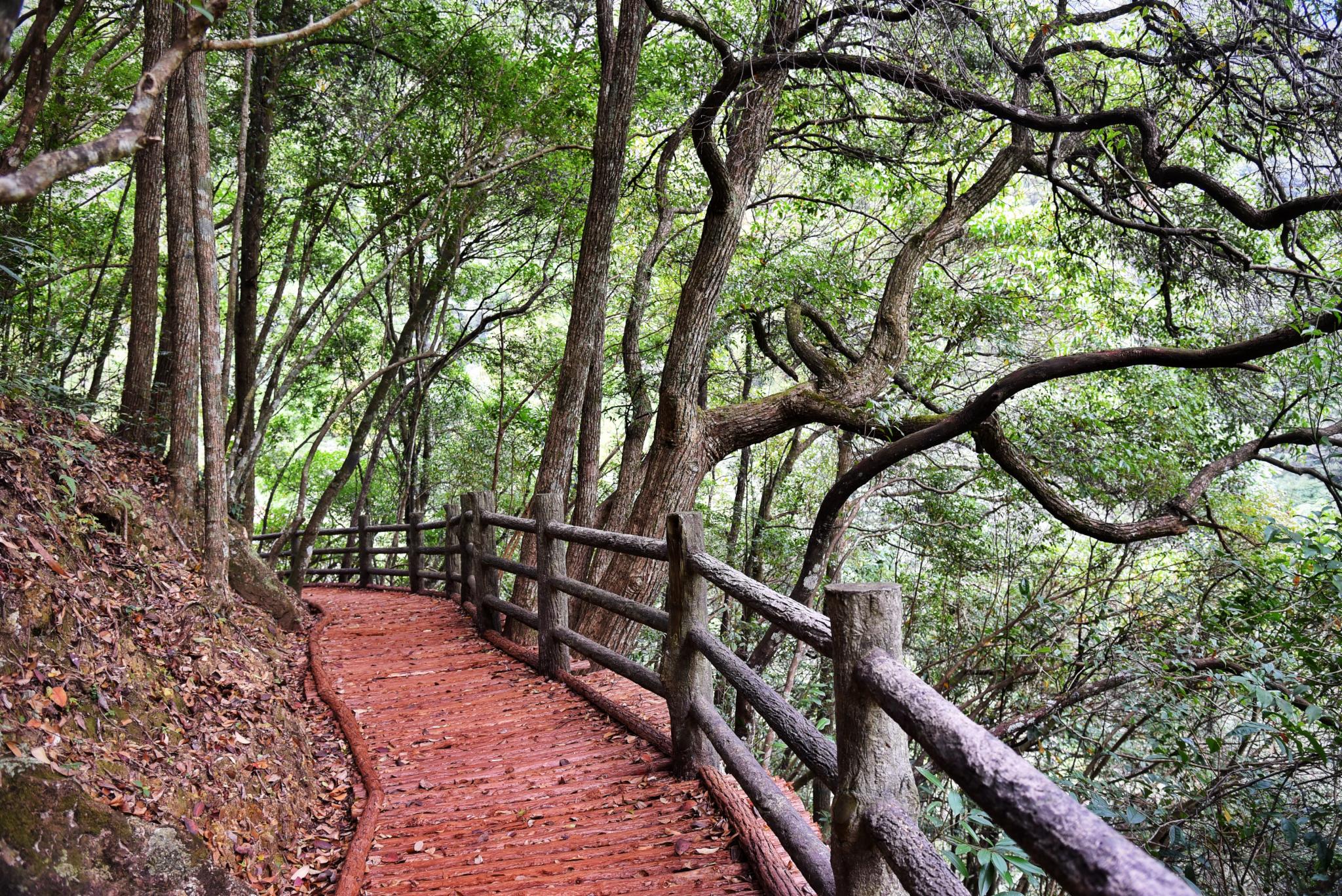 2021铜铃山森林公园游玩攻略,景区最为经典的景致从山谷谷...【去哪儿攻略】