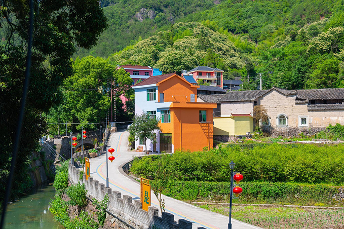 溶江乡新西坑村图片