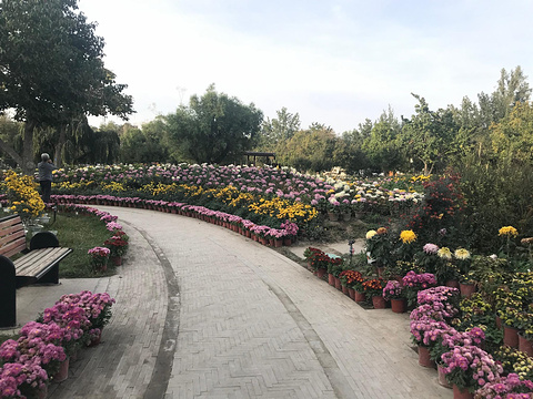 乌鲁木齐植物园旅游景点图片