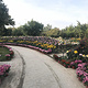 乌鲁木齐植物园