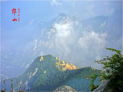 华山南峰旅游景点图片