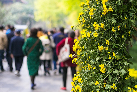 成都市人民公园旅游景点攻略图