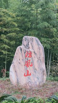 下渚湖熊猫园旅游景点攻略图