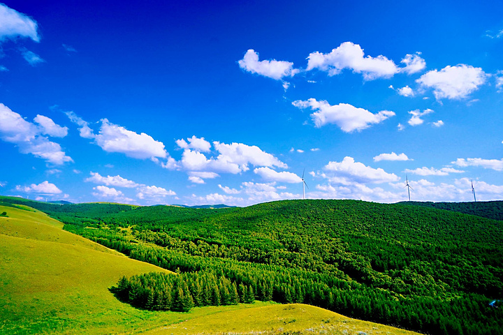 "...迭起的碧绿山峰，还有白色的风力发电风车，似乎描绘出了一幅最美丽的风景画，不得不感叹大自然的美好_神仙谷七彩森林"的评论图片