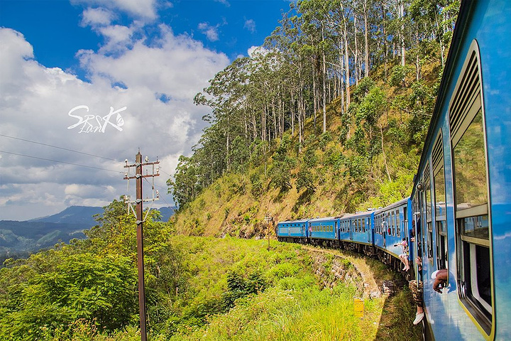"其实斯里兰卡的海上小火车很早之前就已经很红了，是游客前往斯里兰卡旅行必须打卡的一个景点。图片来自网络_茶园火车"的评论图片