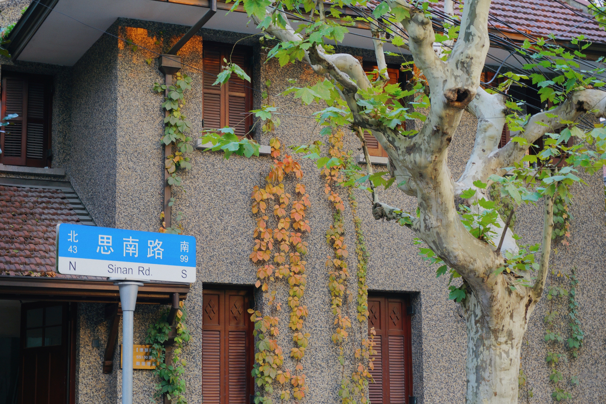 名人故居交相辉映,东靠重庆南路,思南路贯穿其中,已成为上海市中心集