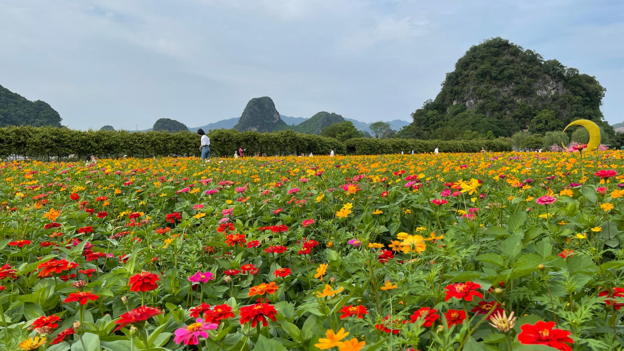清远旅游,品尝地道乡村长桌宴,汉服穿越放诗意河灯,赏醉美峰林-清远旅游攻略-游记-去哪儿攻略
