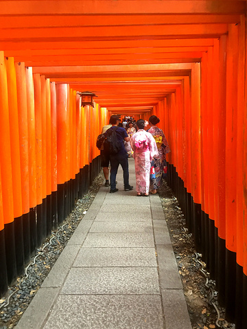 "红色鸟居层层叠叠的排列着，如同多米诺骨牌，带来的是视觉的震撼，感受着不一样的神社风貌。出发——美食_伏见稻荷大社"的评论图片