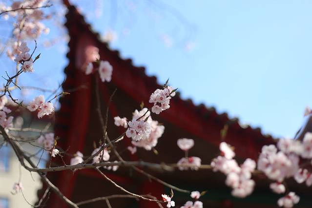 哈尔滨工程大学