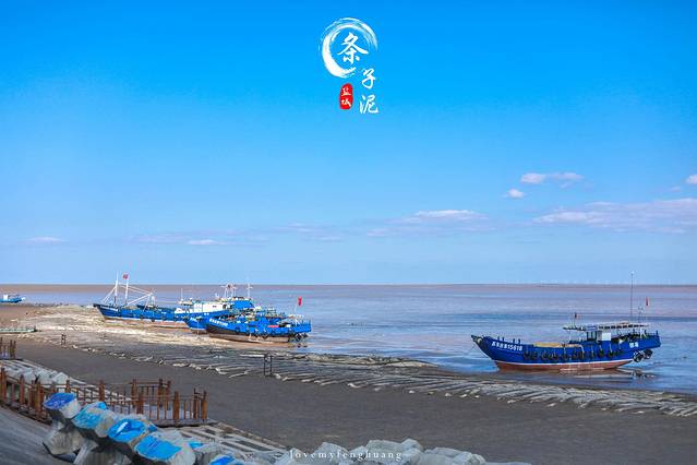 东台条子泥景区