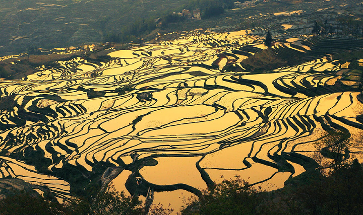 2024...最为代表的是就是多依树看日出，坝达看日落、看云海，老虎嘴看日落，箐口看云中仙境，阿者科村蘑菇房_元阳哈尼梯田-评论-去哪儿攻略