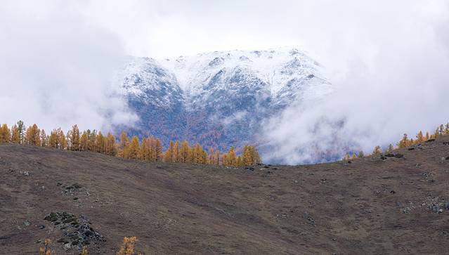 贾登峪国家森林公园