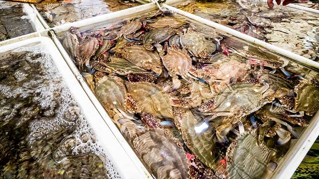 帝王宫综合市场