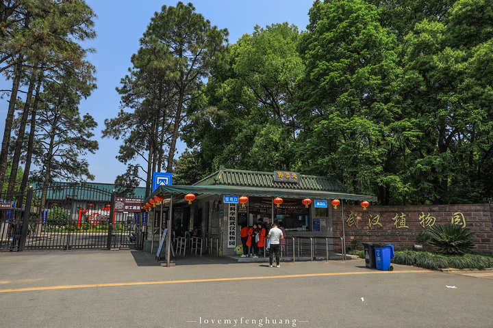 乘坐401,402,625,413路至武汉植物园站下车即到