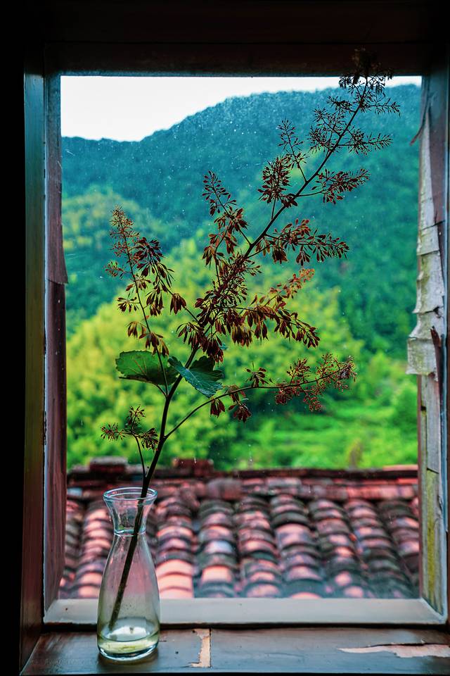 先锋书店(陈家铺平民书局店)