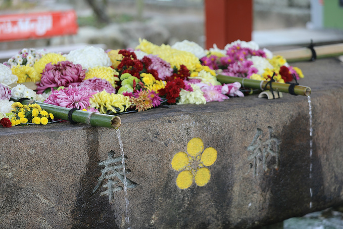 日本i 四天三晚山口之旅 记录那些平淡的快乐碎片 防府市旅游攻略 游记 去哪儿攻略