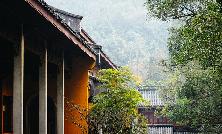 "_灵隐寺"的评论图片