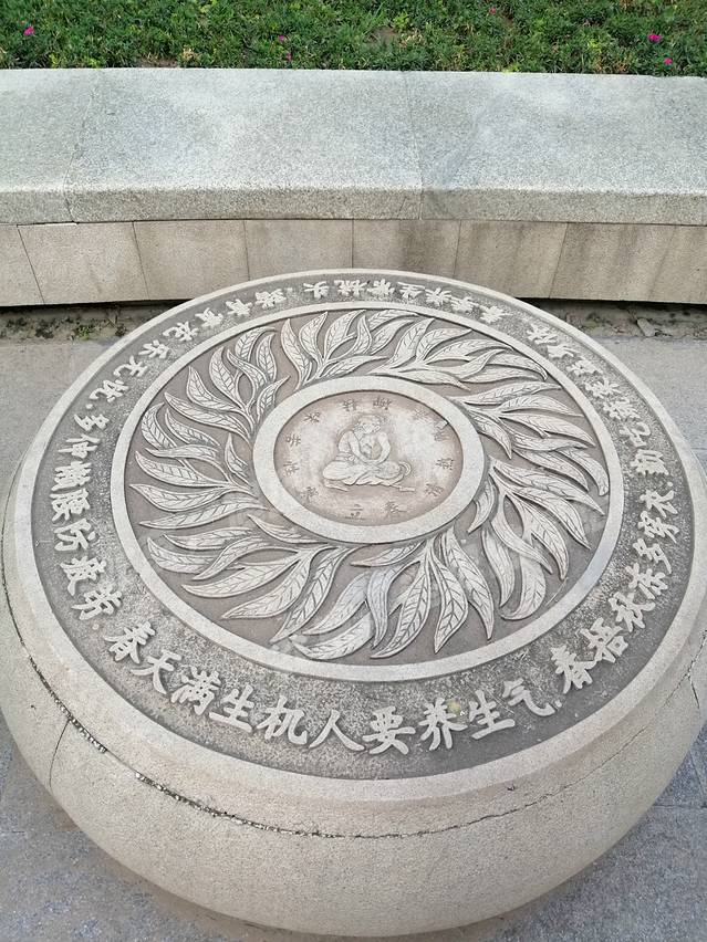 地坛公园银杏大道