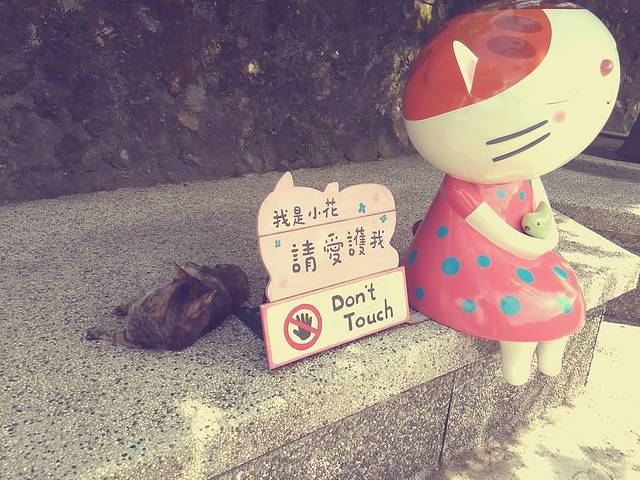 226台湾新北市平溪区平溪线