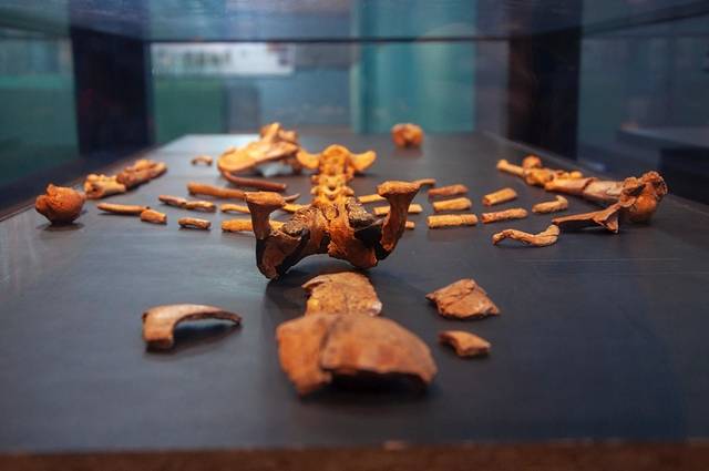 埃塞俄比亚国家博物馆