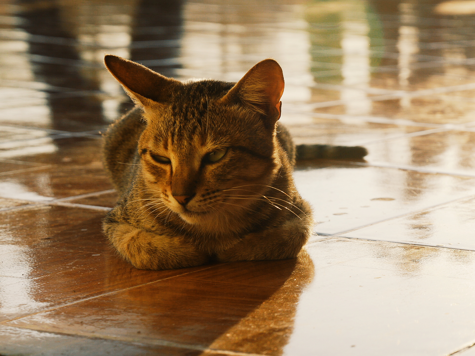 曼德勒山也是一个观看日落和曼德勒全景的好地点外国人需要缴纳1000