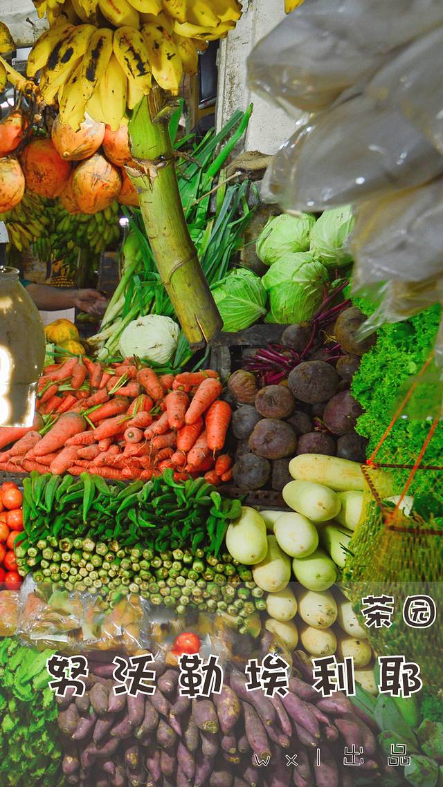 努沃勒埃利耶小镇