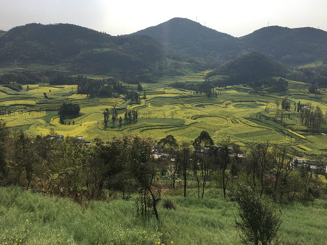 "螺丝田是由串珠岩溶漏斗地质地貌构成的自然景观，是别的地方所没有的，值得一观_螺丝田"的评论图片