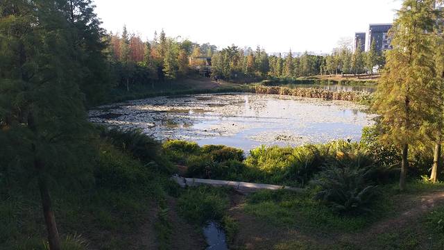 天河大观湿地公园