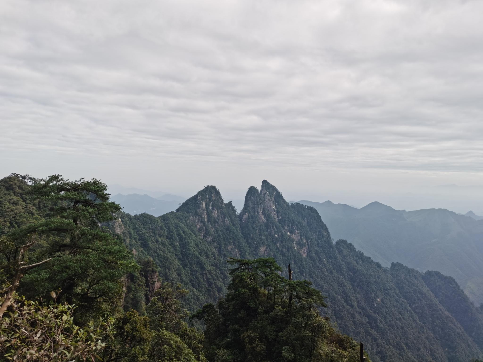【携程攻略】五指山五指山热带雨林风景区景点,不值得去的景点，一点意思都没有。