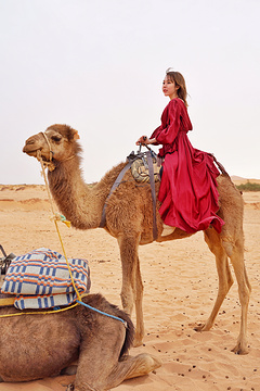 Morocco Desert - Day Tours旅游景点攻略图
