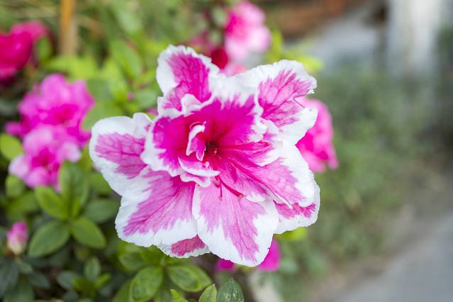 南河国家湿地公园