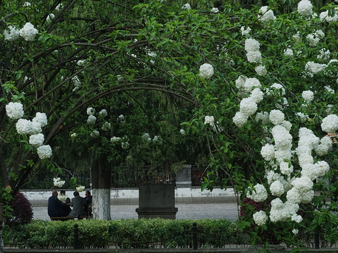 午朝门公园旅游景点图片