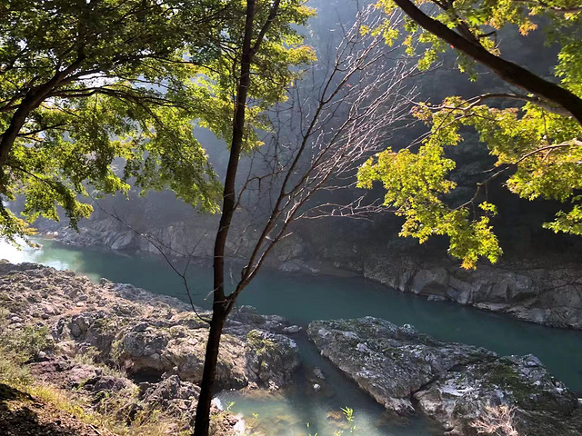 "岚山的范围其实很大，路牌上面的天龙寺和常寂光寺，景色都非常美，然而我们跟团的行程里不去。景区介绍_岚山嵯峨野观光小火车"的评论图片