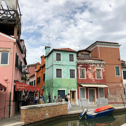 "从威尼斯坐船过来要一个多小时，在这里停留的时间不长，天气也不是很好，但是这里的房子的颜色太特别了_布拉诺岛"的评论图片