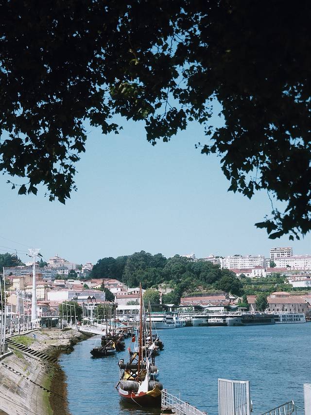 葡萄牙,让我将你的心儿摘下。