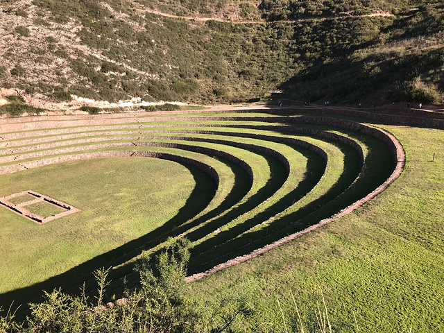 "套票上的第三个景点是环形梯田。太阳已经偏西，阴影使梯田的层次更分明。停车场外，大概时有露营团的小巴_Moray"的评论图片