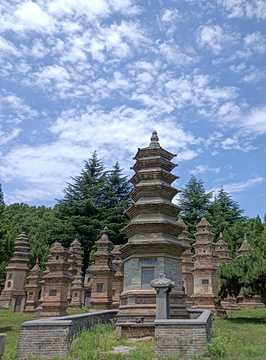 塔林旅游景点攻略图