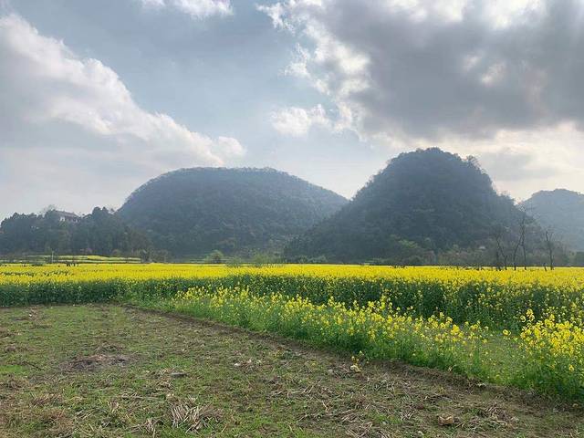 鲍家屯村
